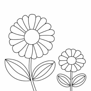 disegni fiori da colorare