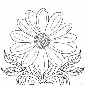 stampe di fiori da colorare