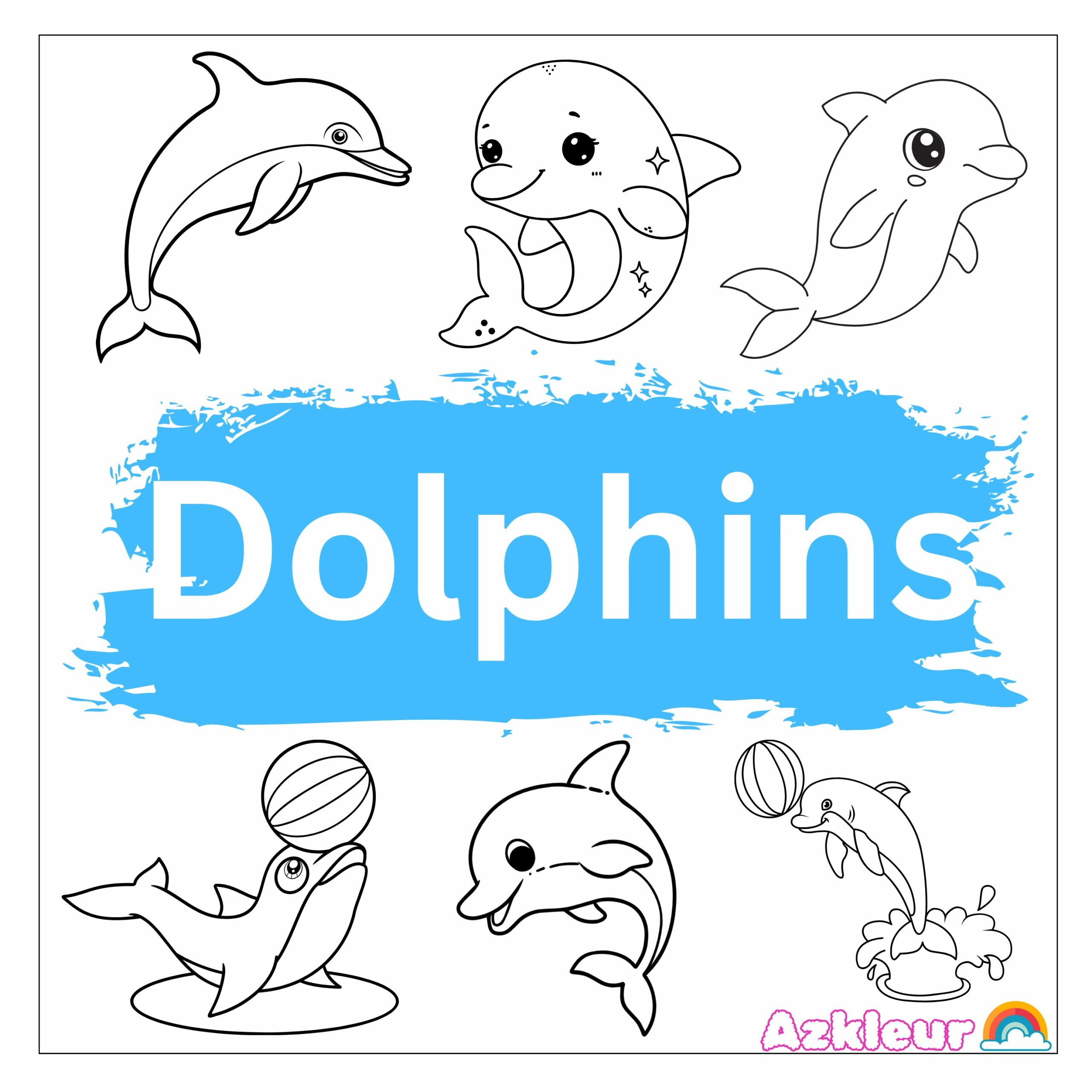 dolphins
