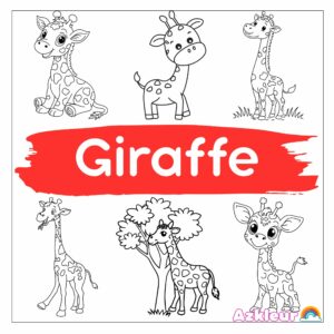 Giraffe Ausmalbild