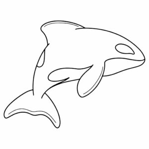 coloriage de dauphin