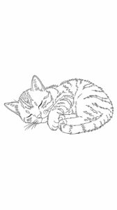 kätzchen niedlich ausmalbild