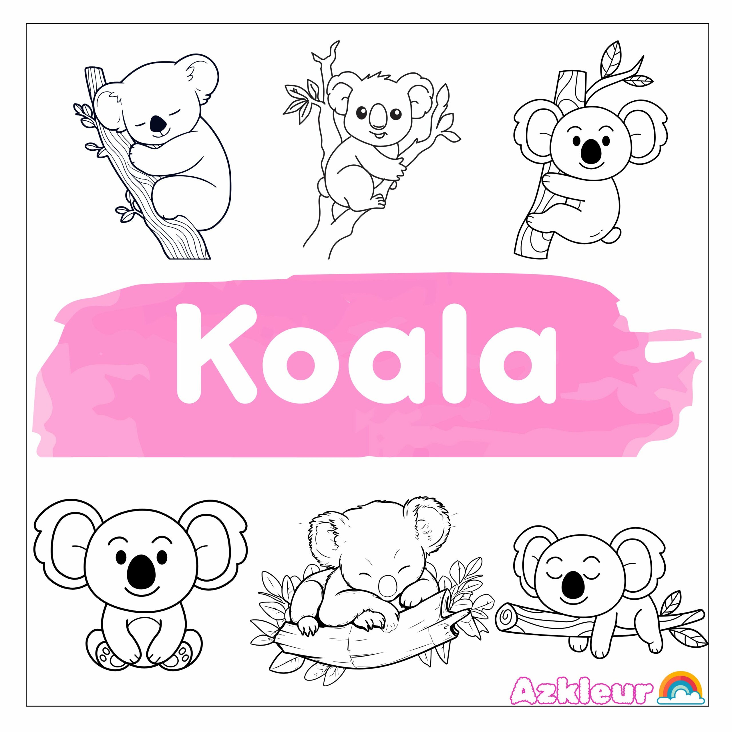 koala