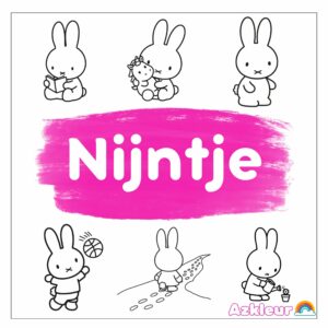 Nijntje Kleurplaat