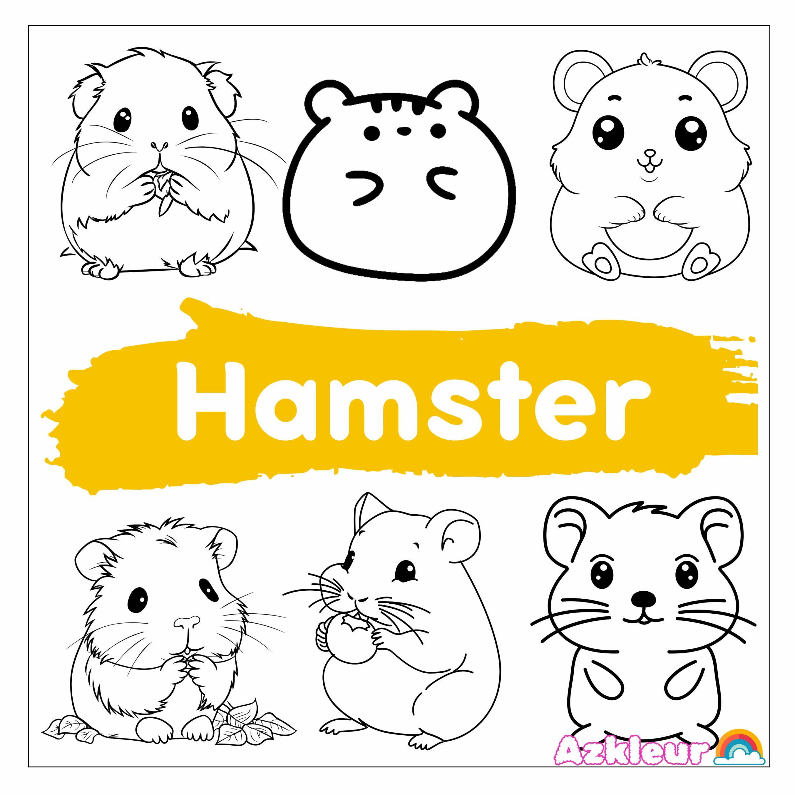 Hamster