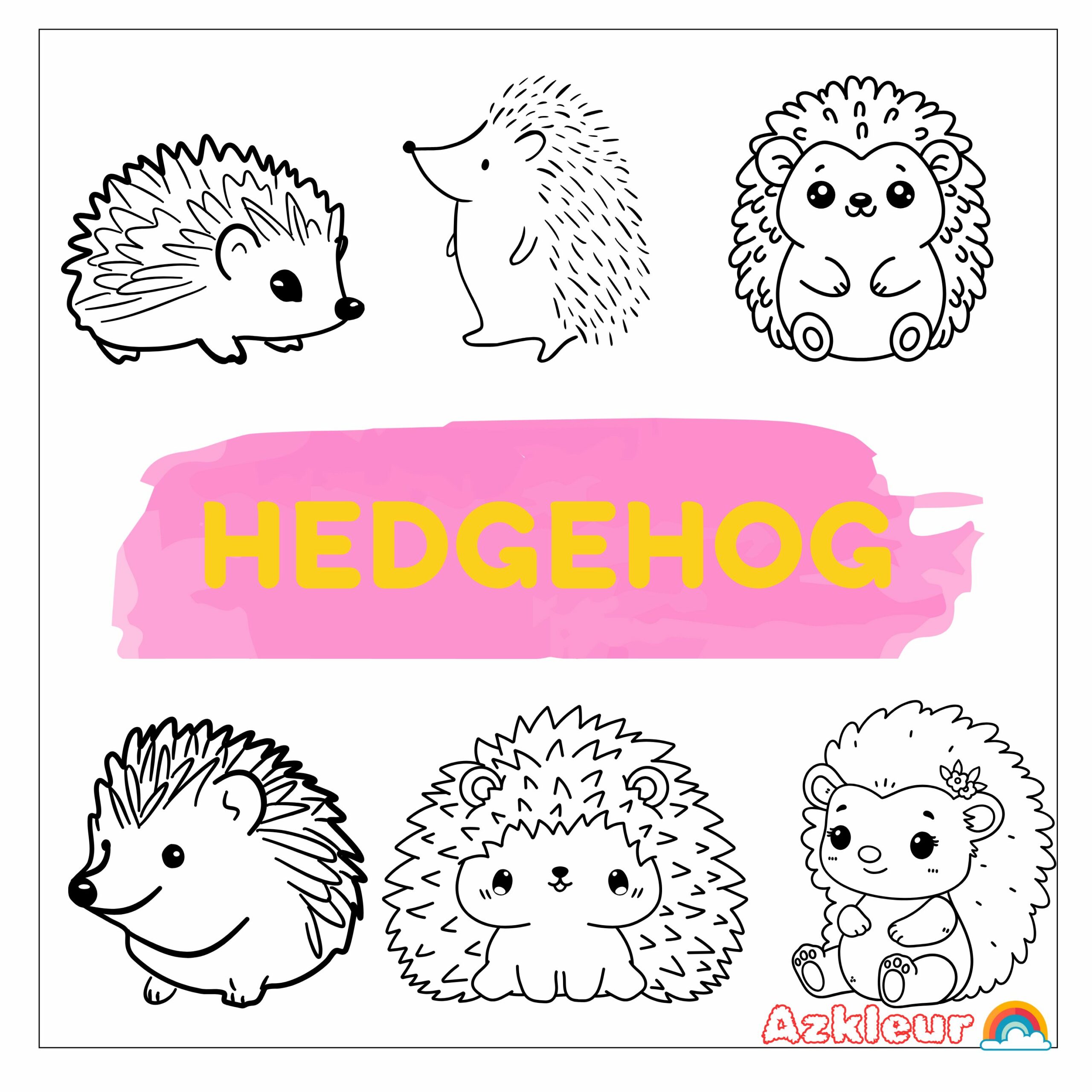 hedgehog