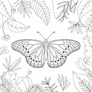 Farfle farveplader - Udskriv og mal farverige farveplader med smukke sommerfugle