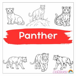 Farbeplakat Panther