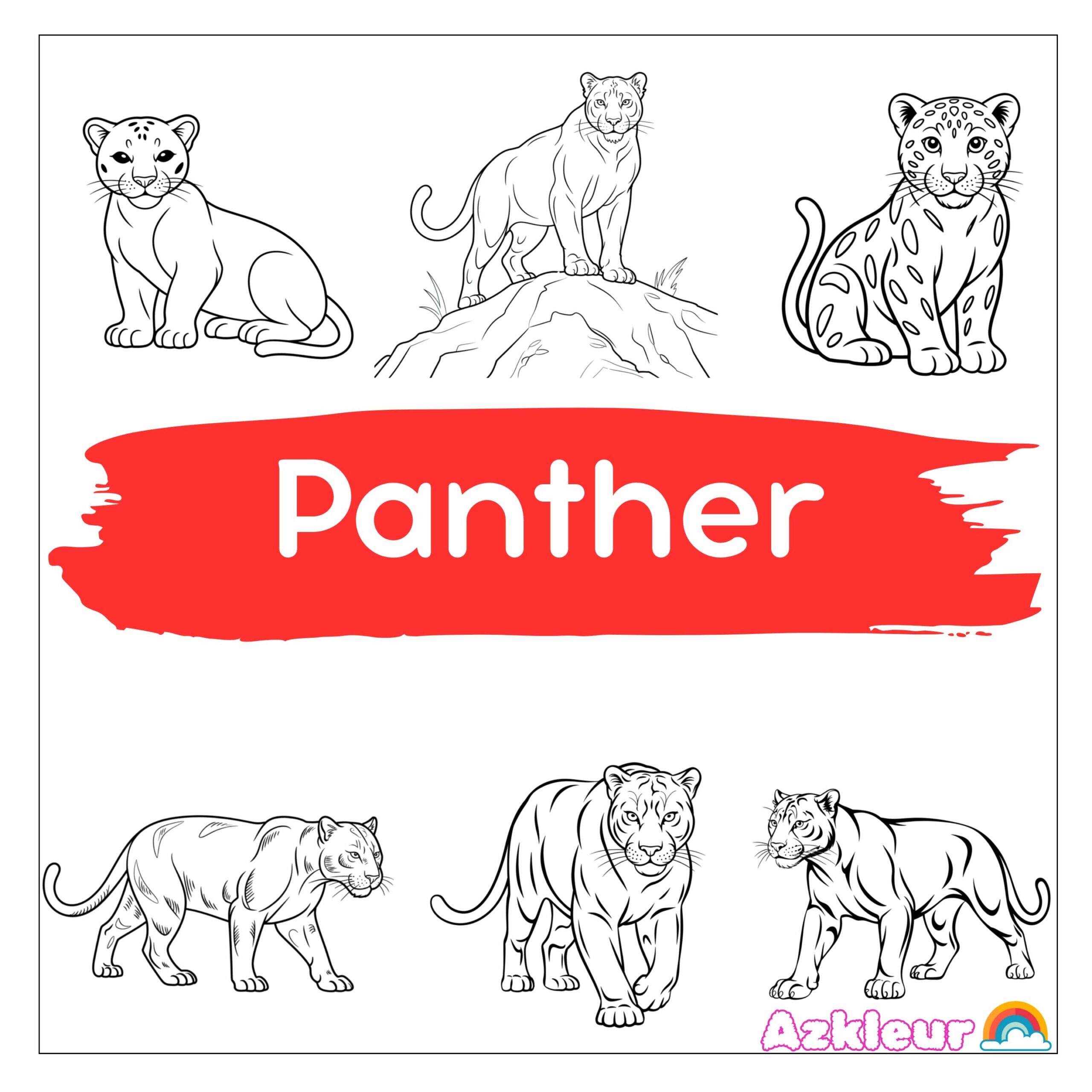 panter