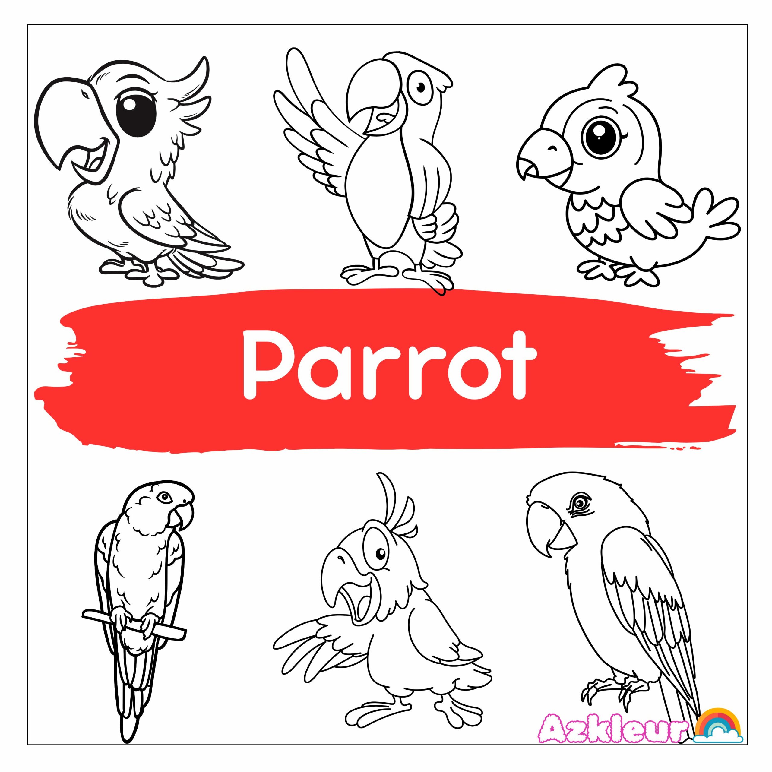 parrot