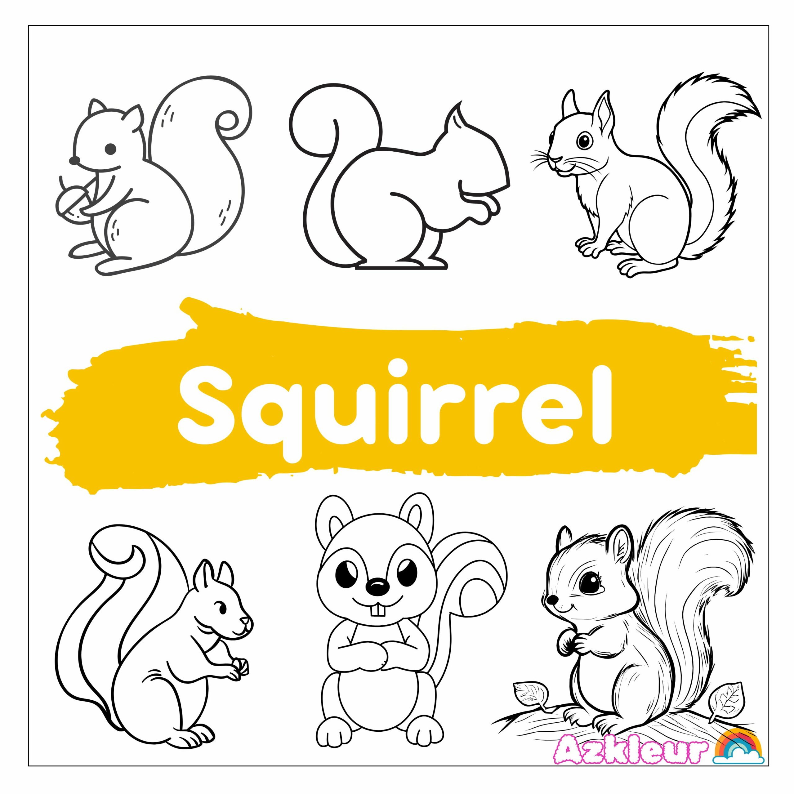 squirrel