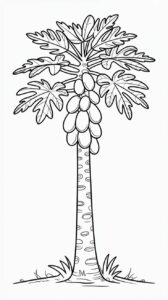 Papayaboom met lange stam en grote bladeren