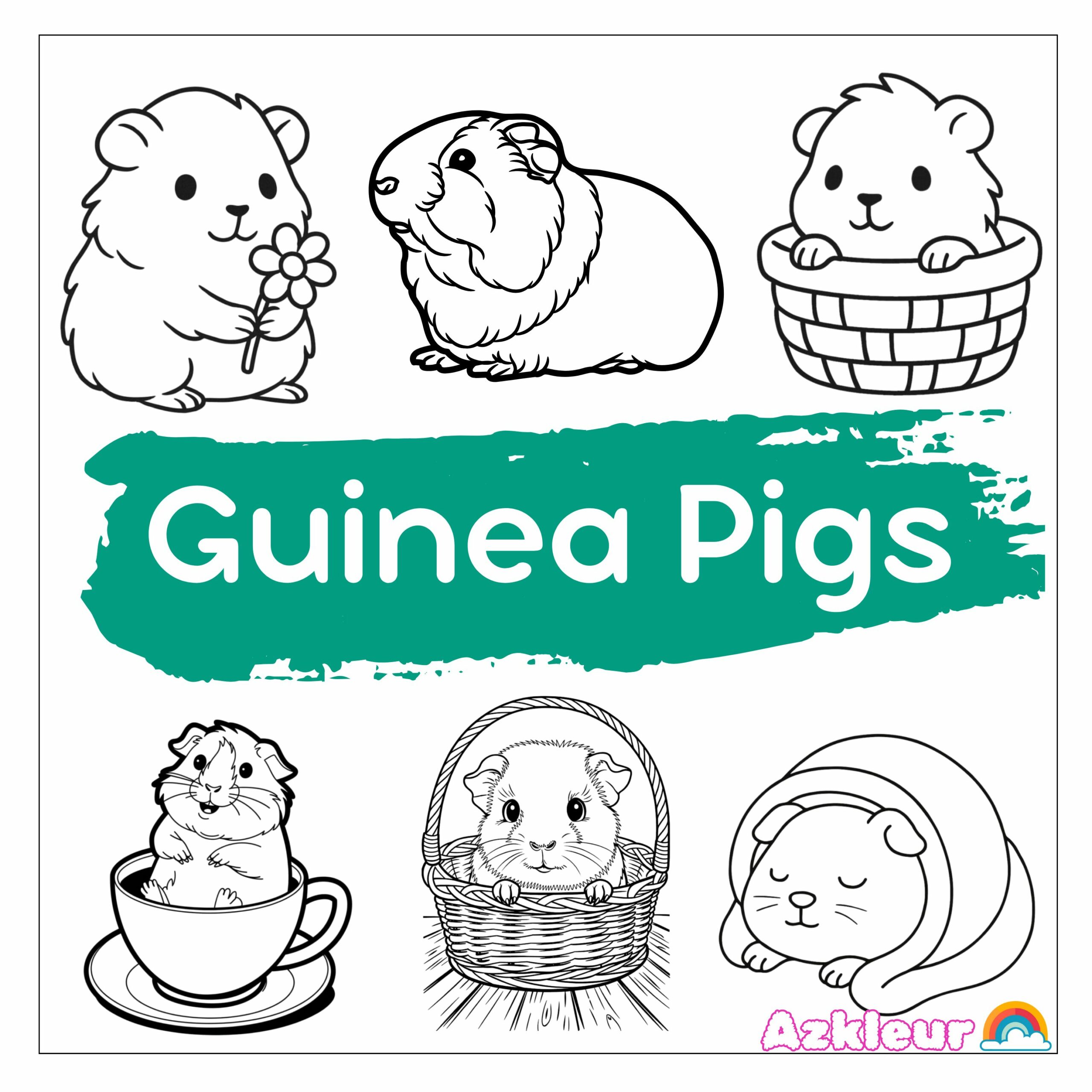 guinea-pigs