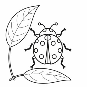 lieveheersbeestje tekenen makkelijk