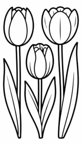 fiore tulipano da colorare