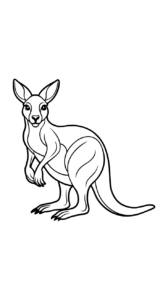 australien känguru ausmalbild