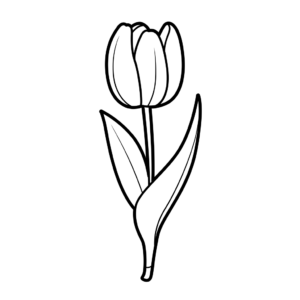 Ausmalbilder Tulpen