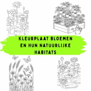 Kleurplaat Bloemen en Hun Natuurlijke Habitats: Gratis Printbare Natuurtekeningen