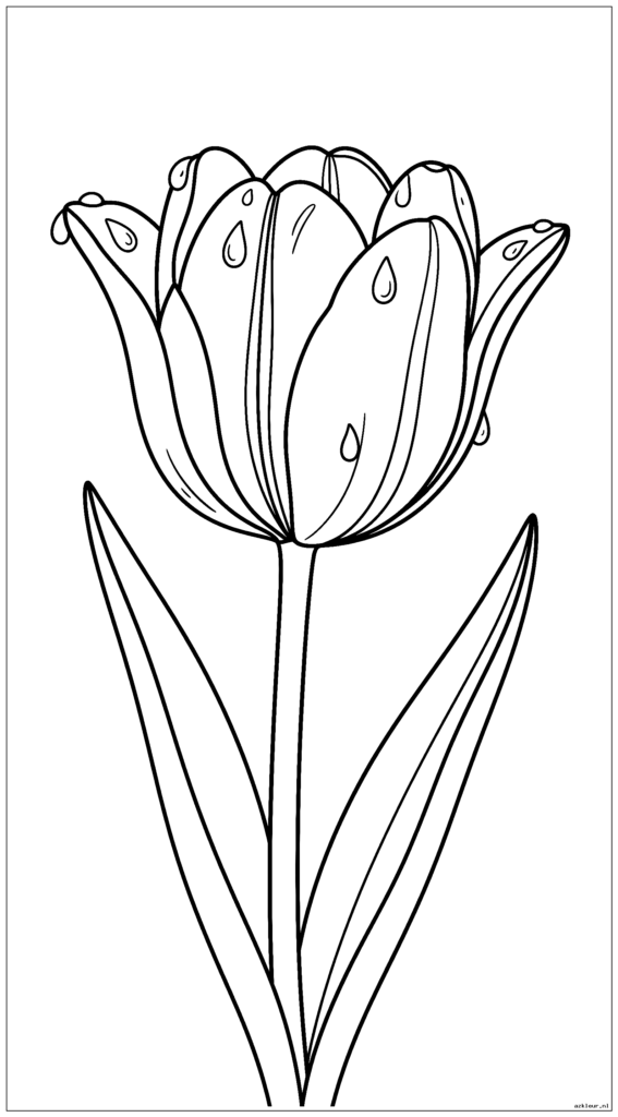 Een enkele majestueuze tulp met regendruppels op de bloemblaadjes