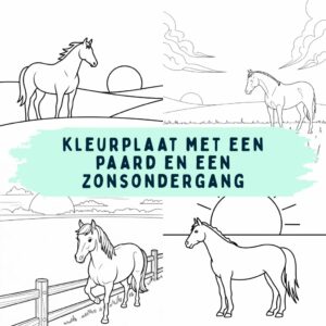 Kleurplaat met een Paard en een Zonsondergang | Gratis Printen